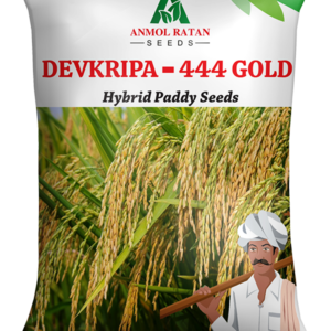 DEVKRIPA - 444 GOLD