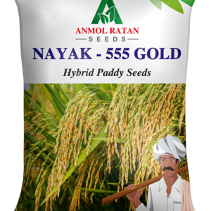 Nayak-555