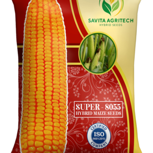 Super 8055 Hybrid Maize