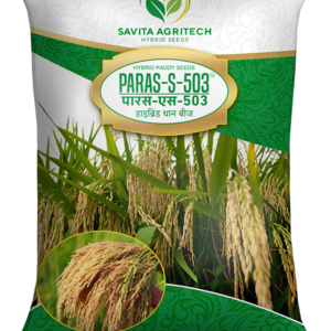 Savita Agritech Paras-S-503 Hybrid Paddy Seeds
